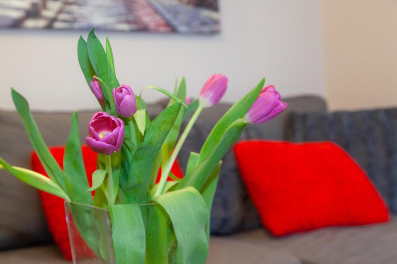 Apartament Apartament Blanki Malbork Zewnętrze zdjęcie
